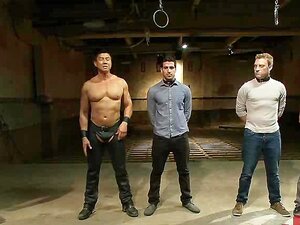 Gay Sklaven Auktion Handy Pornos - NurXXX.mobi